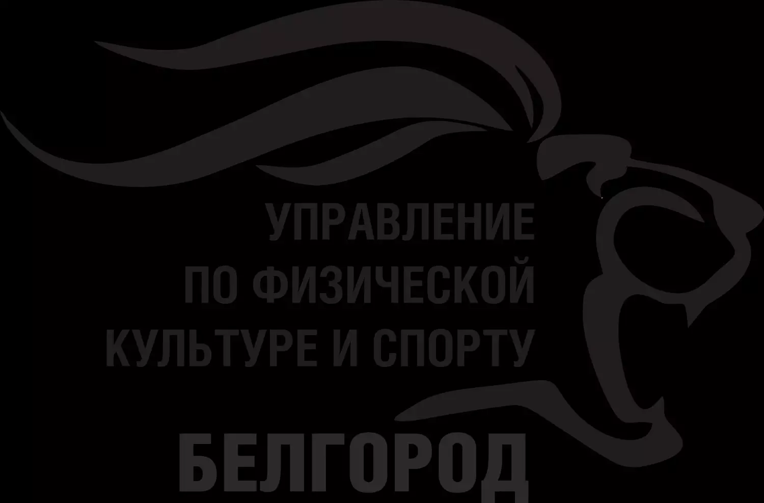 Для команды администрации Белгорода закупят спортивную форму на 615 тысяч рублей2