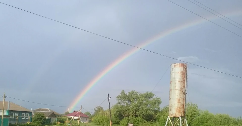 Дожди с грозами и +26 градусов ожидаются в Белгородской области 26 июня0