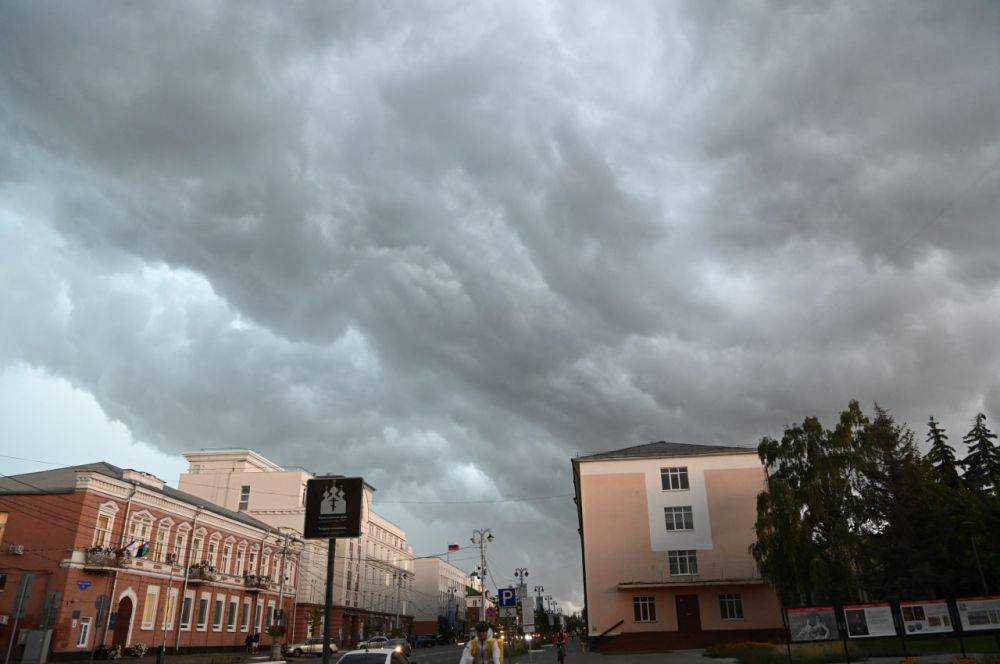 Синоптики сообщают об усилении ветра в Белгороде