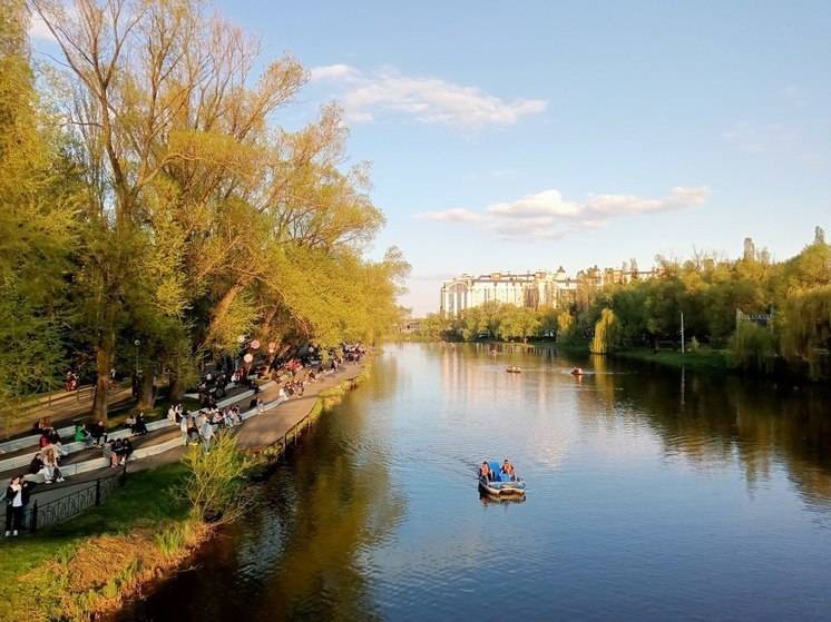 Названы самые эффективные районы и города Белгородской области