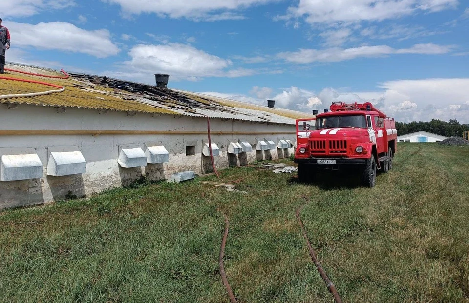 Семь домов и пять машин повреждены после атаки ВСУ на белгородское село Вознесеновку0