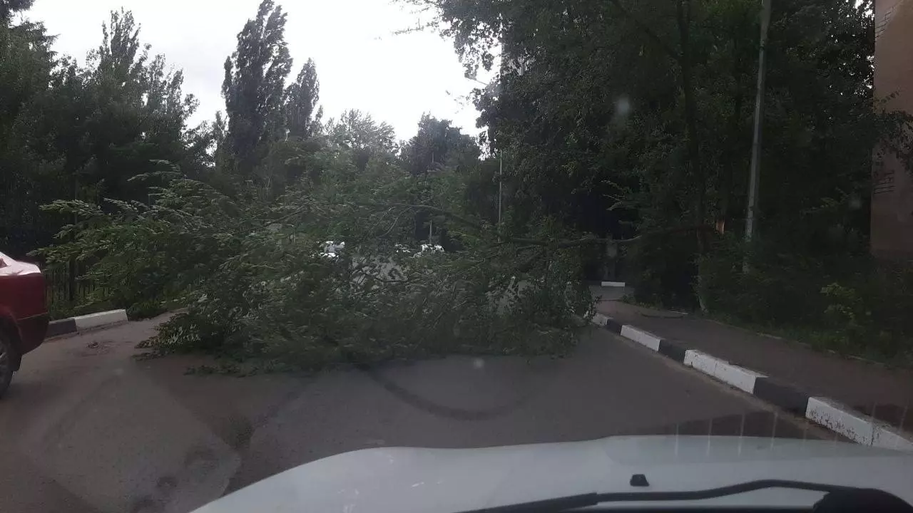 Стихия обрушилась на Белгородскую область: что известно о последствиях13