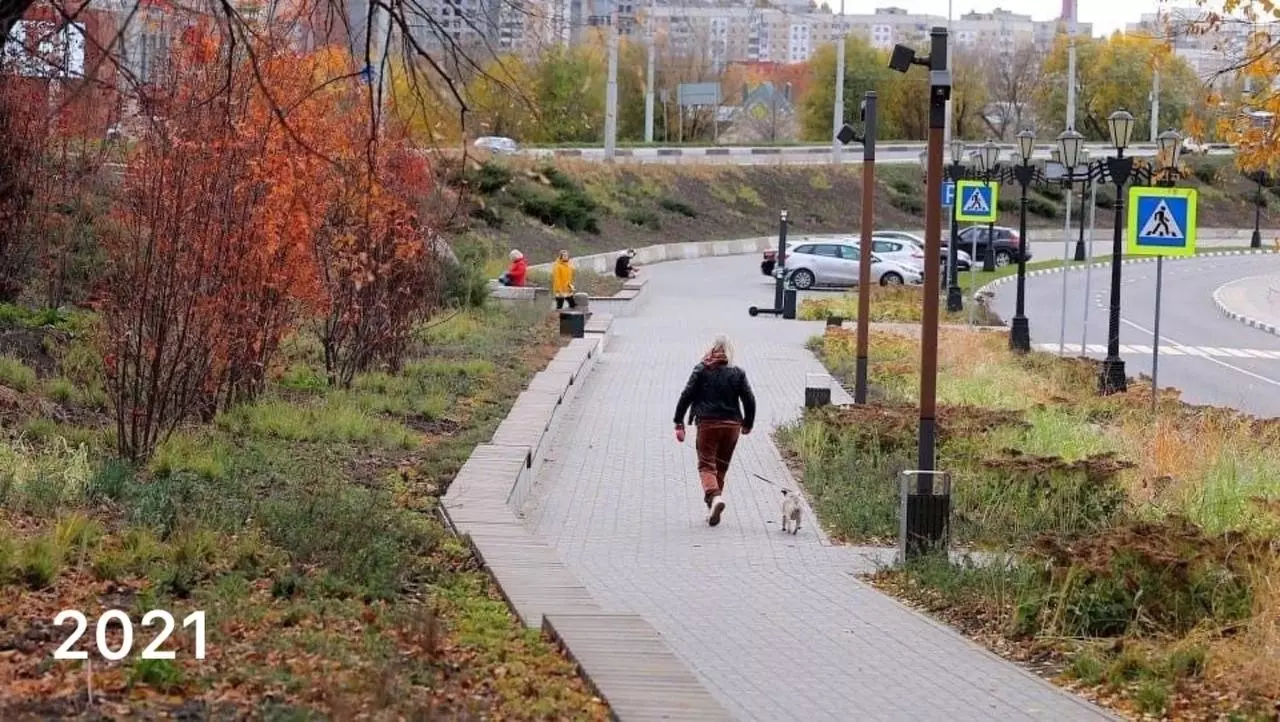 Городские луга