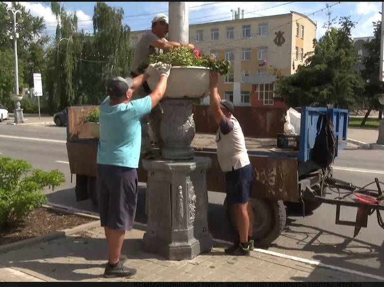 В Белгороде установят более 200 вазонов с цветами