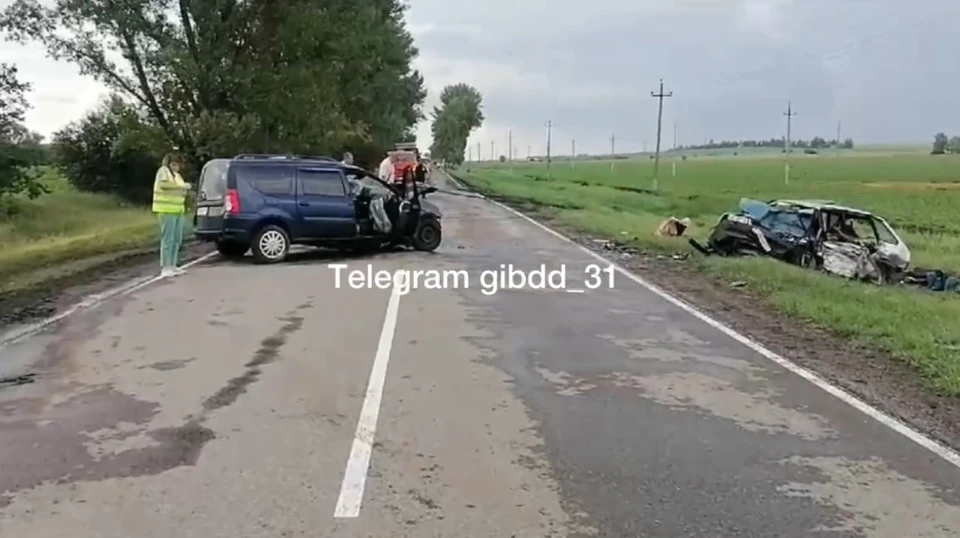 В ДТП в Белгородской области погибли три человека, в том числе годовалый ребенок0