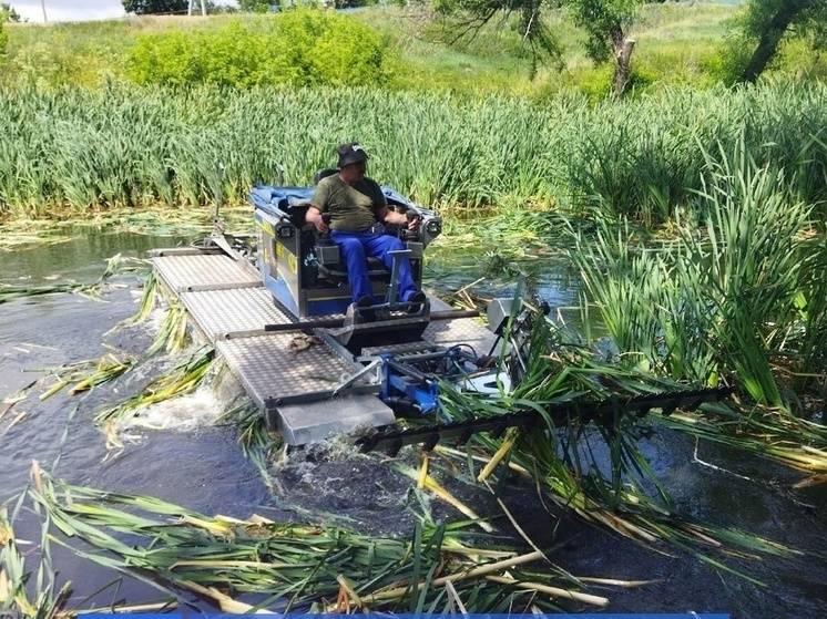 В Красногвардейском районе очистят Центральный пруд