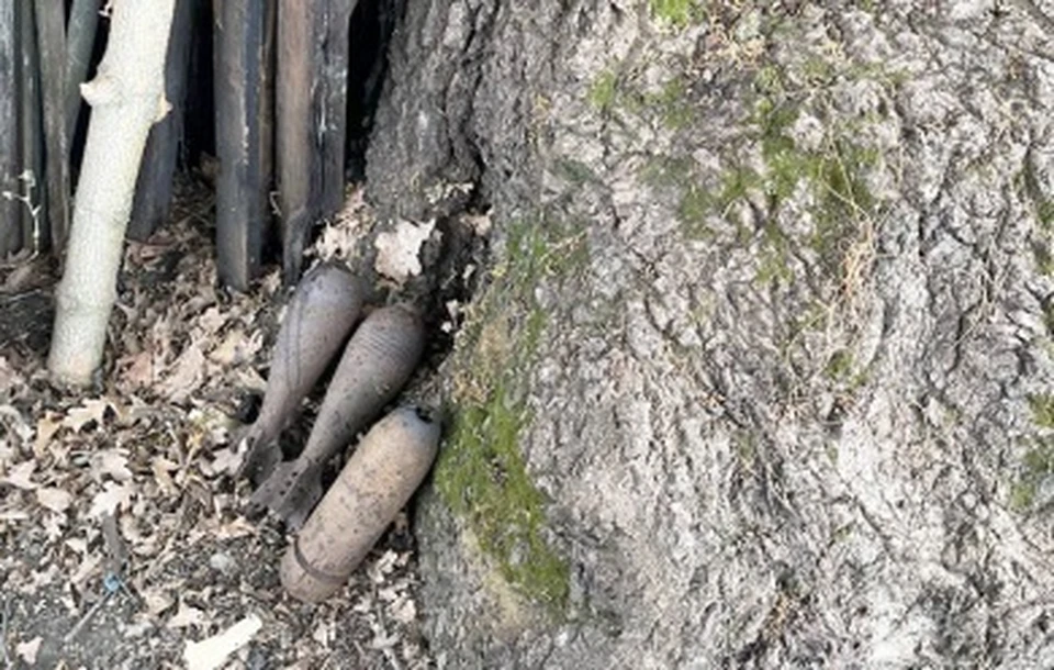 За хранение боеприпасов белгородцу грозит до восьми лет тюрьмы0