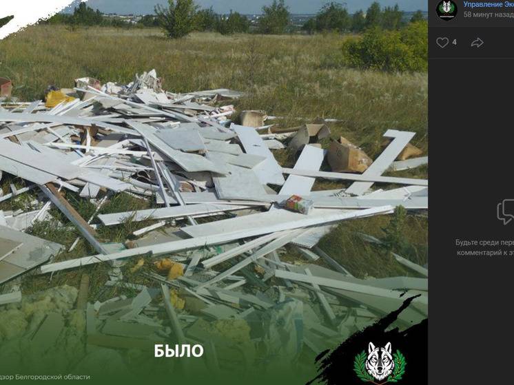 Жителя Белгородской области наказали за несанкционированную свалку