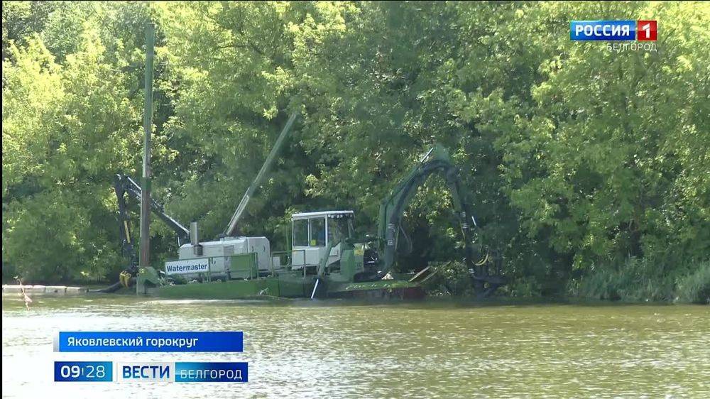 В селе Верхний Ольшанец Яковлевского округа приводят в порядок местный пруд