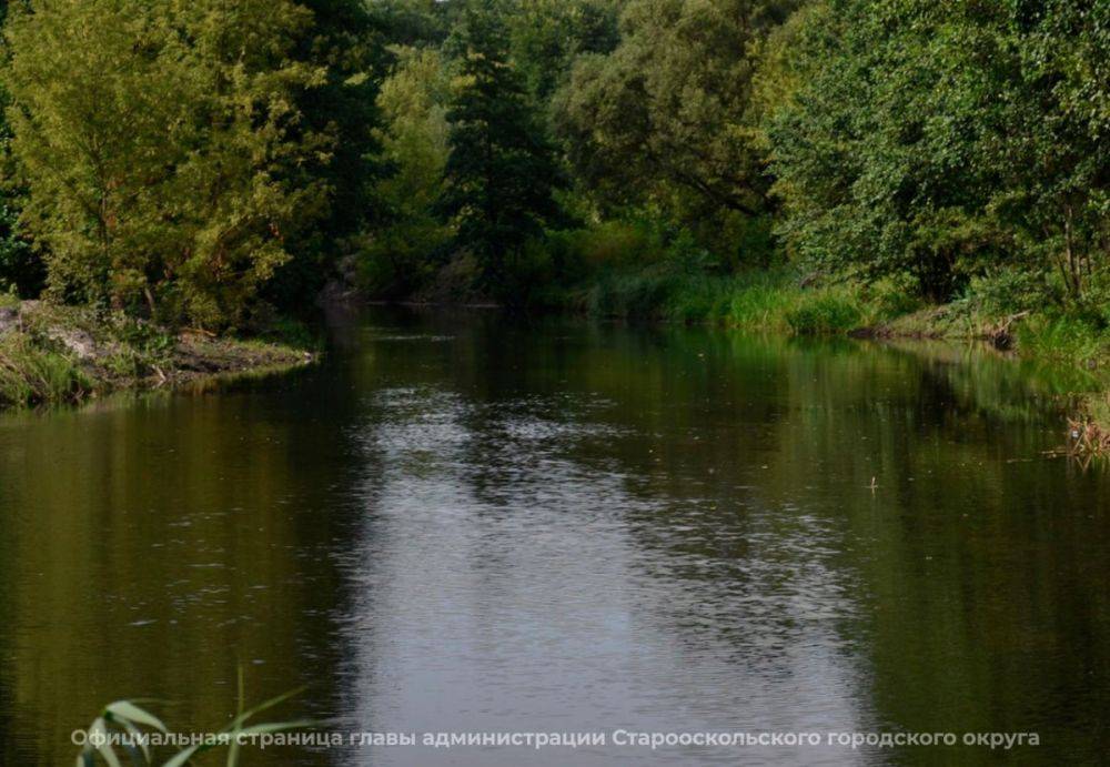 В Старооскольском горокруге Белгородской области продолжается очистка водоёмов