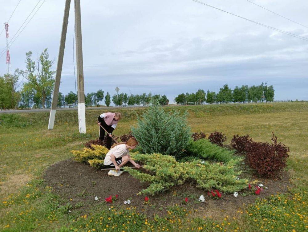 Более 570 школьников Вейделевского района Белгородской области нашли работу на время летних каникул