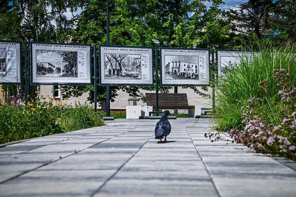 В сквере перед Смоленским собором открылась выставка архивных фотографий «Белгород: эпоха Победителей»