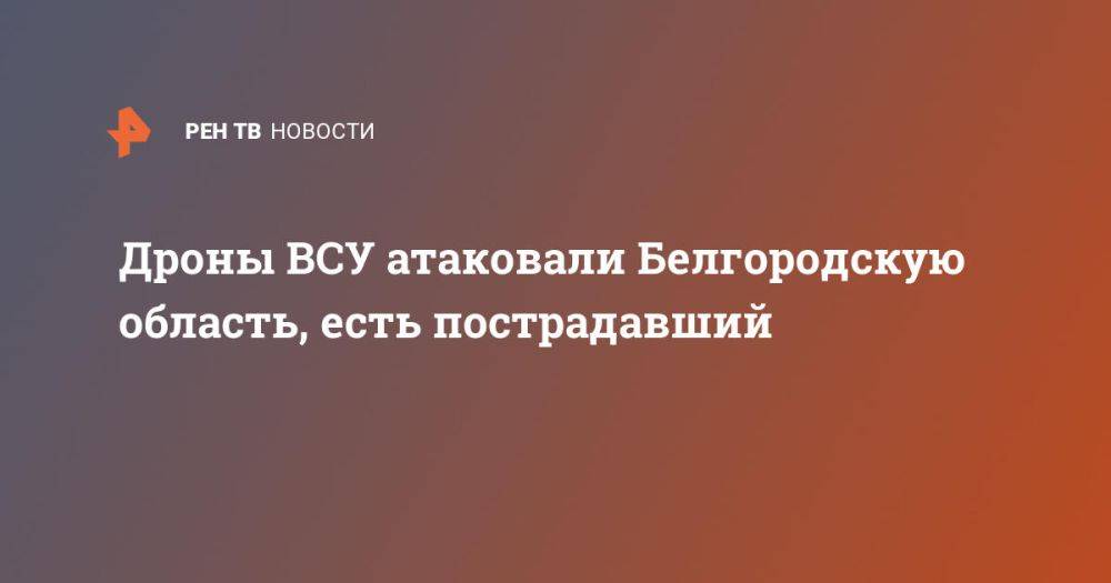 Дроны ВСУ атаковали Белгородскую область, есть пострадавший