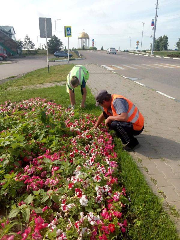 В Ракитянском районе Белгородской области высадили рекордное количество цветов