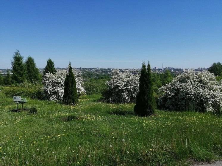 17 июля в Белгородской области сохранится жара в 37 градусов