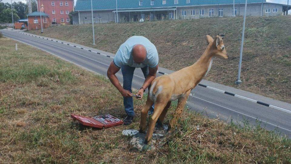 В Борисовке сломали косулю