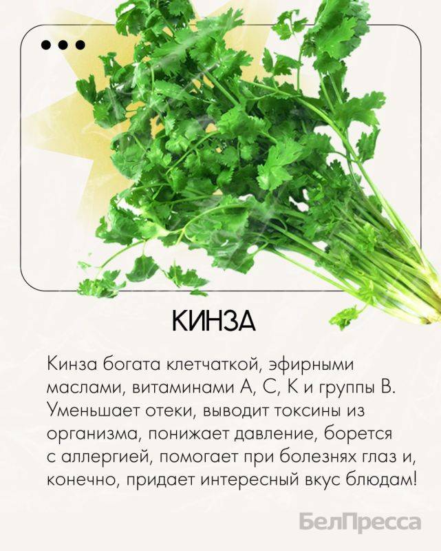 Зелень – это красивое и вкусное дополнение к любому блюду