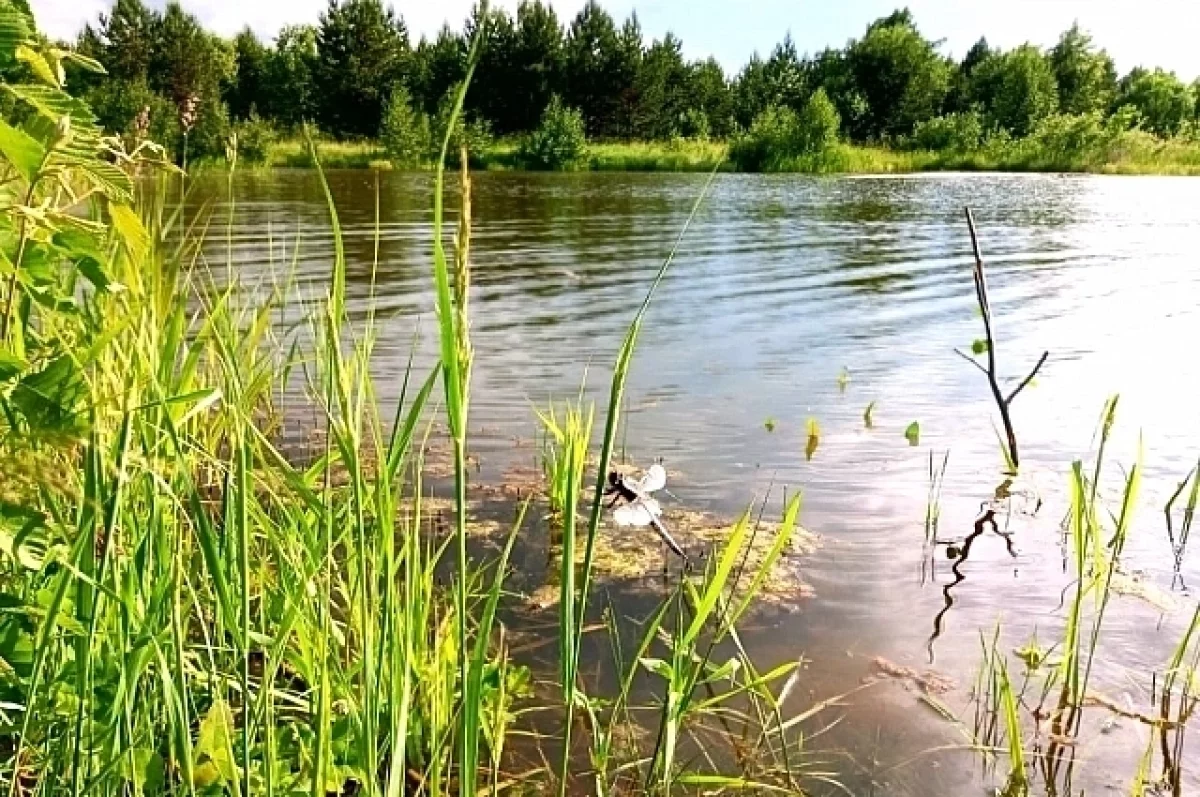 На Белгородчине сохраняется аномальная жара0