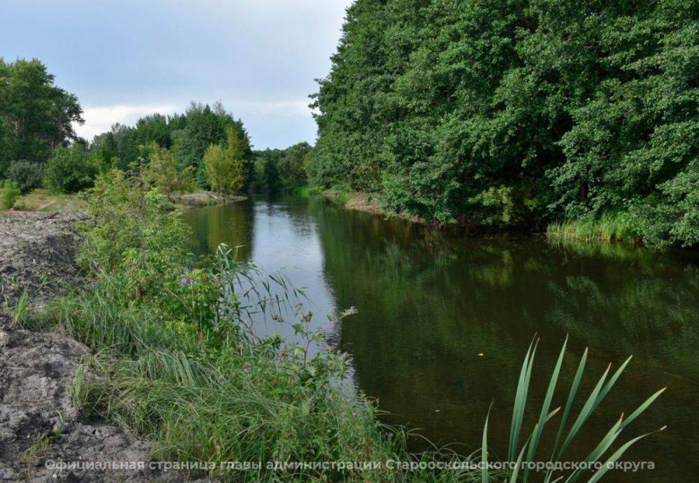 В Старооскольском горокруге Белгородской области продолжается очистка водоёмов