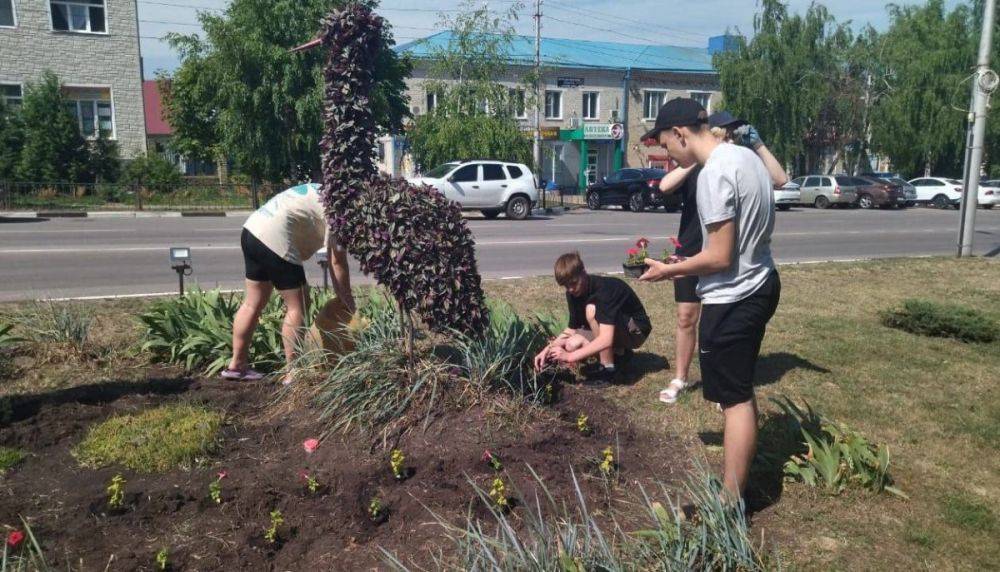 Более 570 школьников Вейделевского района Белгородской области нашли работу на время летних каникул