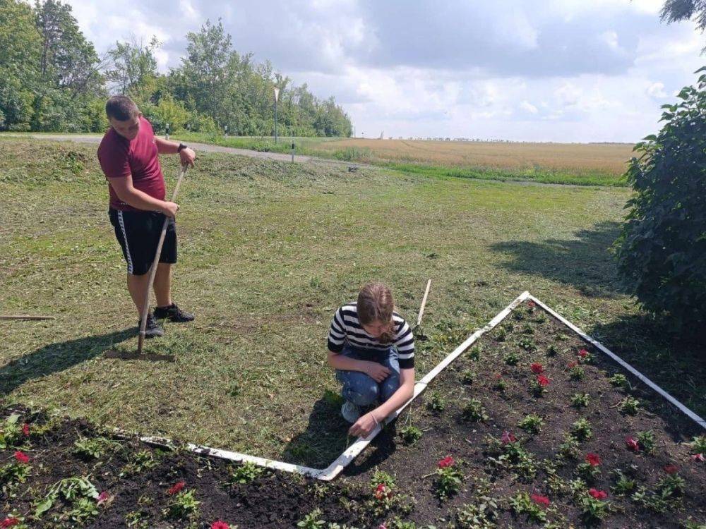 Более 570 школьников Вейделевского района Белгородской области нашли работу на время летних каникул