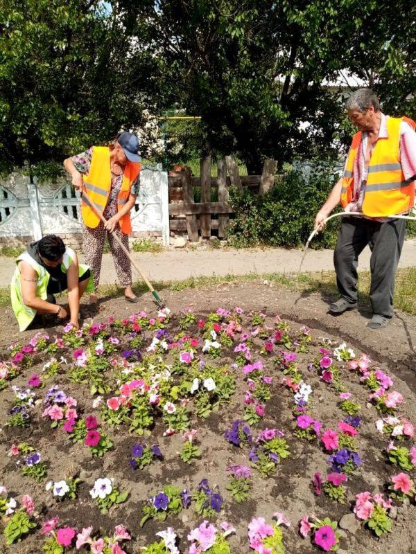 В Ракитянском районе Белгородской области высадили рекордное количество цветов