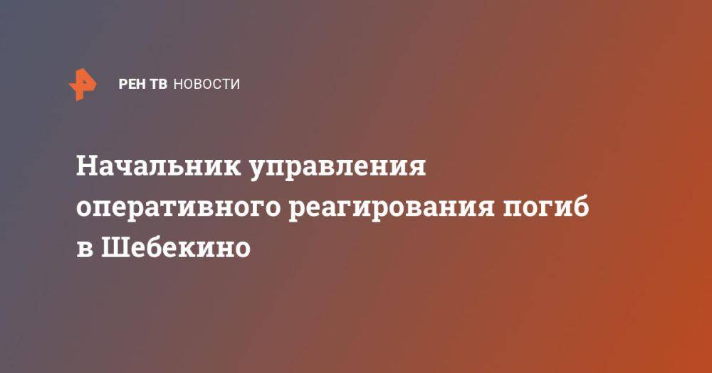 Начальник управления оперативного реагирования погиб в Шебекино