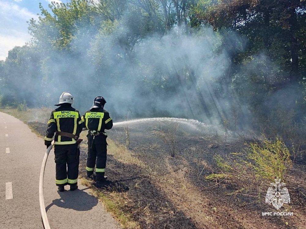 За минувшие сутки на территории области зарегистрировано 7 пожаров