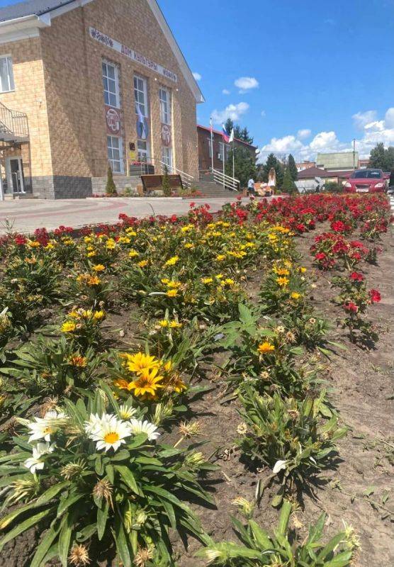 В Ракитянском районе Белгородской области высадили рекордное количество цветов