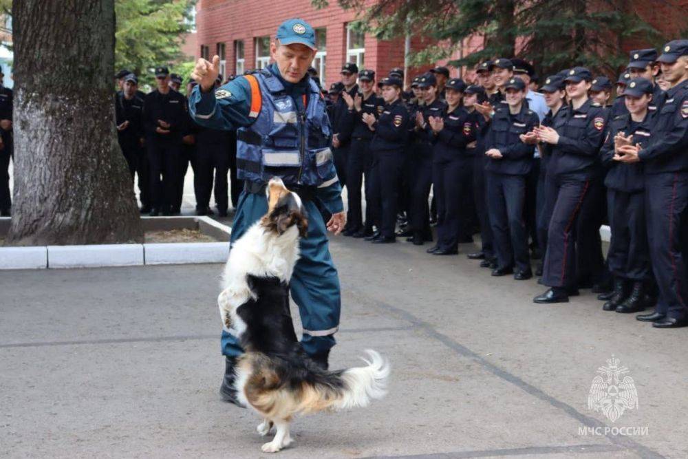 Чутье и преданность на службе безопасности и порядка