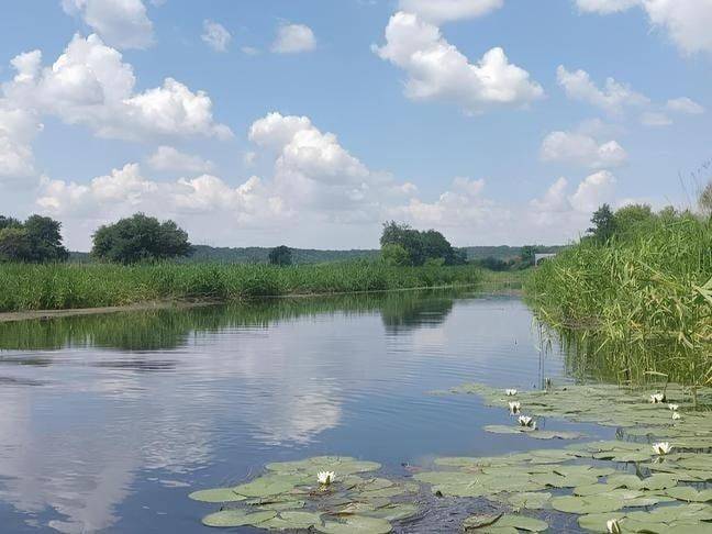 Почему увидеть реку можно только с воды