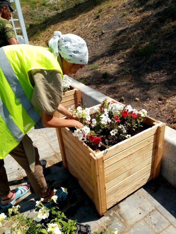 В Ракитянском районе Белгородской области высадили рекордное количество цветов