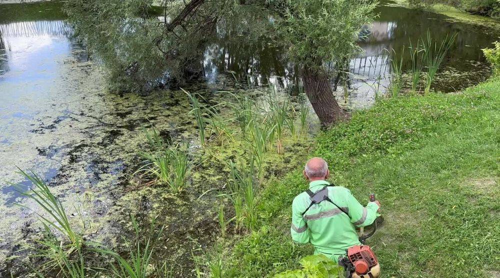 Сегодня на дневной смене порядок в городе наводят 257 сотрудников Белгорблагоустройства