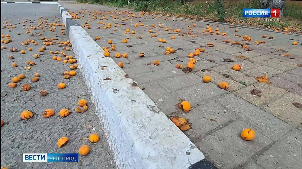 «Принято решение, что эта вся пристройка будет сносится. Заново будет все выстраиваться. Есть моменты, где необходимо демонтаж производить и строить заново. Стяжки тут никакие не помогут»