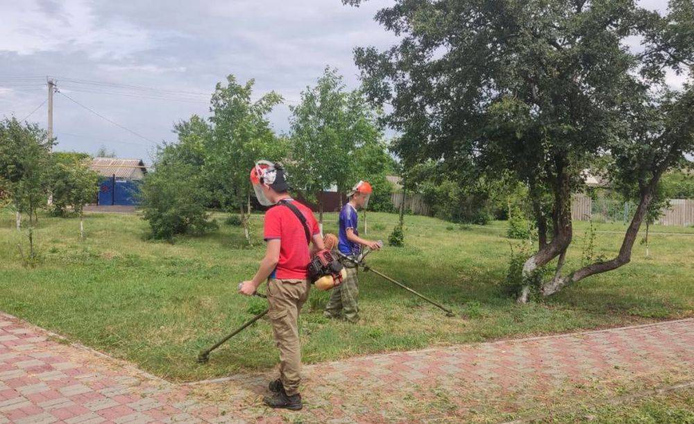 Более 570 школьников Вейделевского района Белгородской области нашли работу на время летних каникул