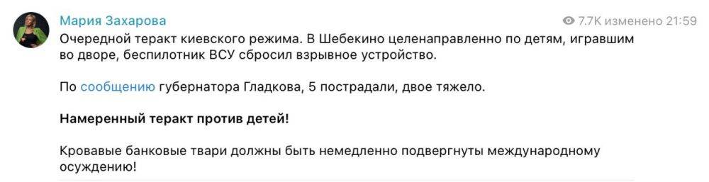 «Кровавые банковые твари должны быть немедленно подвергнуты международному осуждению» – представитель МИД России Мария Захарова прокомментировала теракт в Шебекино