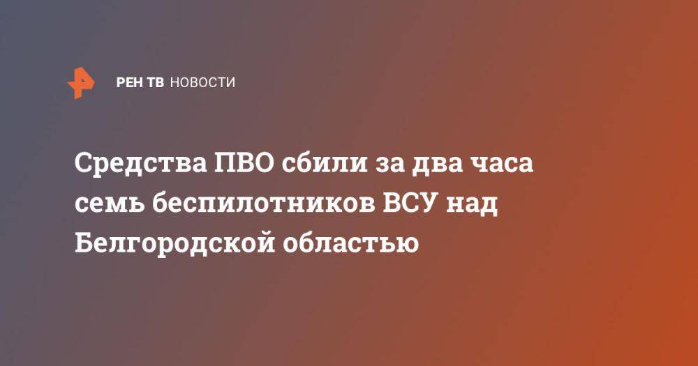 Средства ПВО сбили за два часа семь беспилотников ВСУ над Белгородской областью