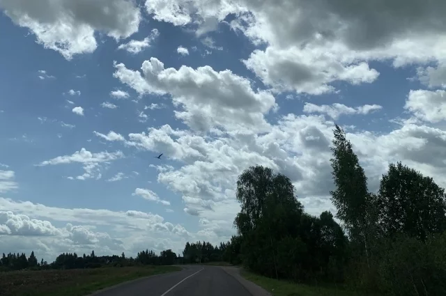 Два водителя пострадали при атаке БПЛА в Белгородском районе1