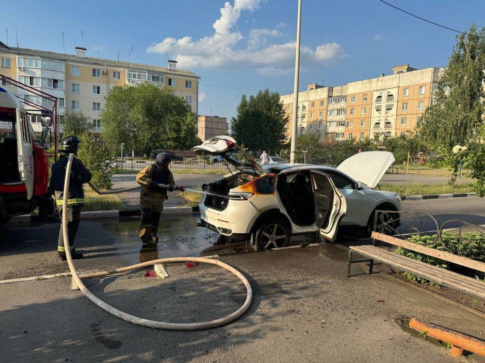 Александр Малькевич: Шебекино не склоняется! Причем во всех смыслах