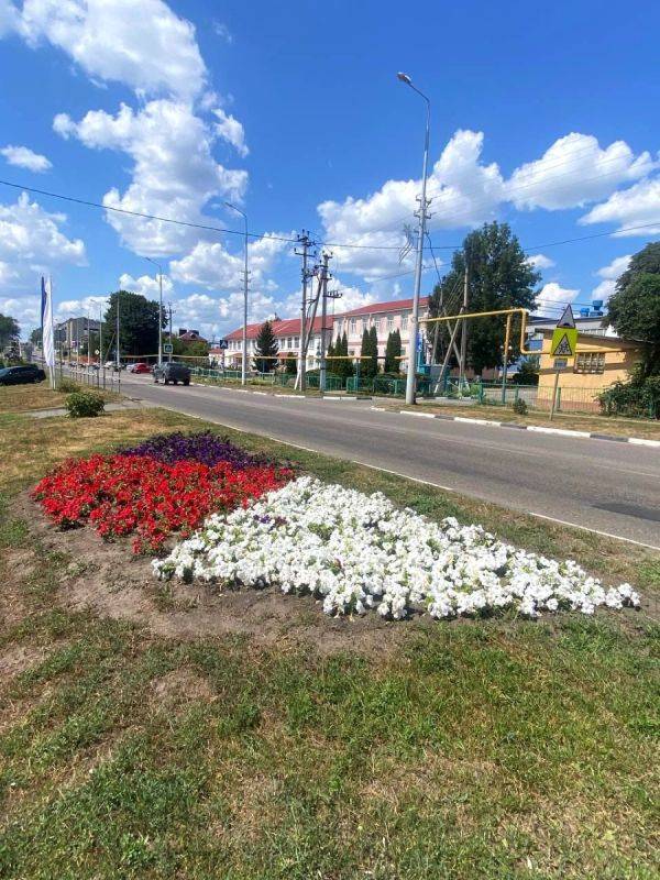 В Ракитянском районе Белгородской области высадили рекордное количество цветов