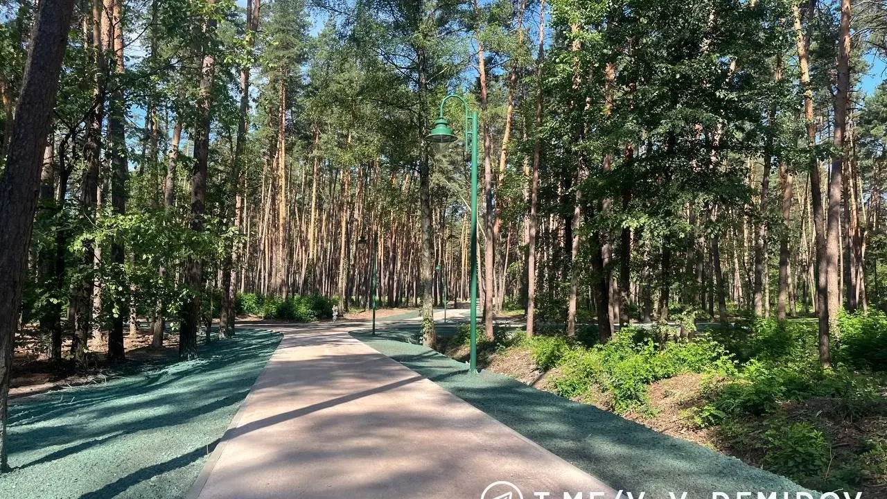 Дистанция для бега в Сосновке