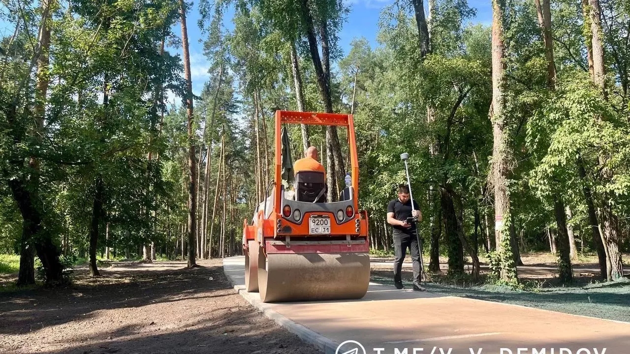 Дистанция для бега в Сосновке