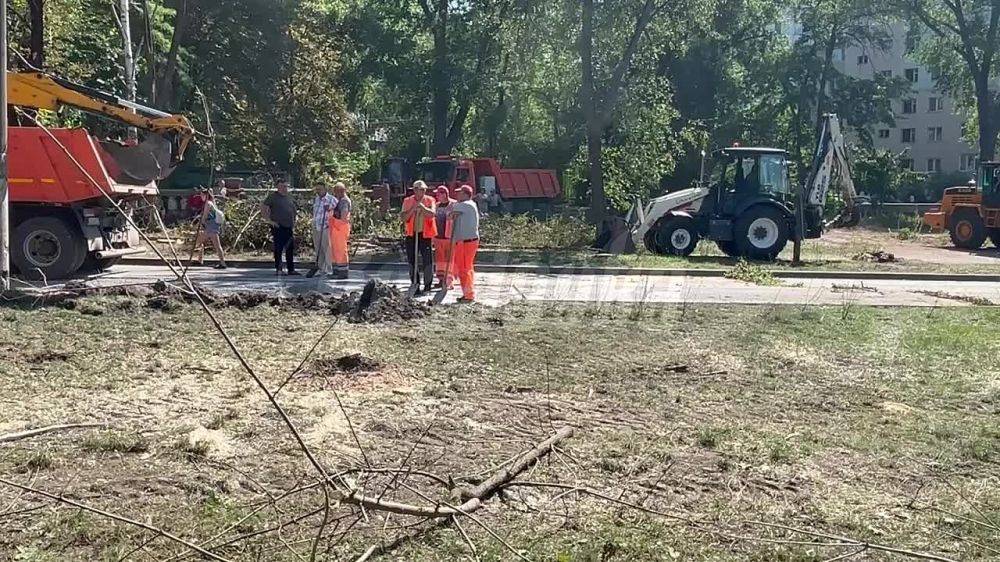 После ночных ударов ВСУ на белгородском асфальте до сих пор виднеются следы крови — вокруг повалены деревья, а в близлежащих зданиях выбиты окна