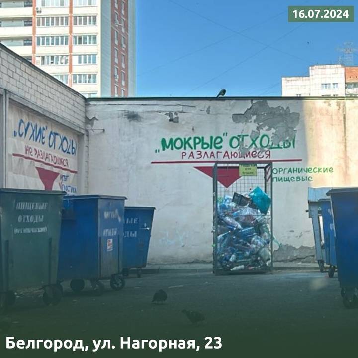 ЦЭБ отреагировал на жалобы белгородцев по поводу мусора5