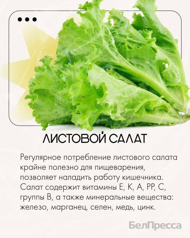 Зелень – это красивое и вкусное дополнение к любому блюду