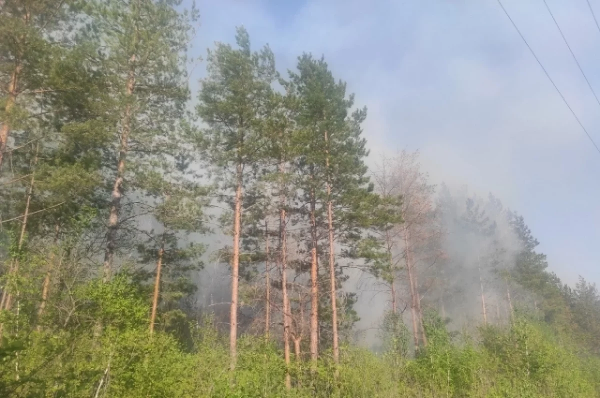 В Белгородской области продлили особый противопожарный режим0