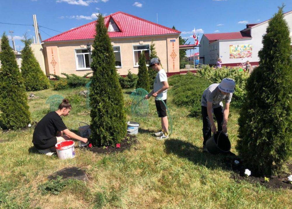 Более 570 школьников Вейделевского района Белгородской области нашли работу на время летних каникул