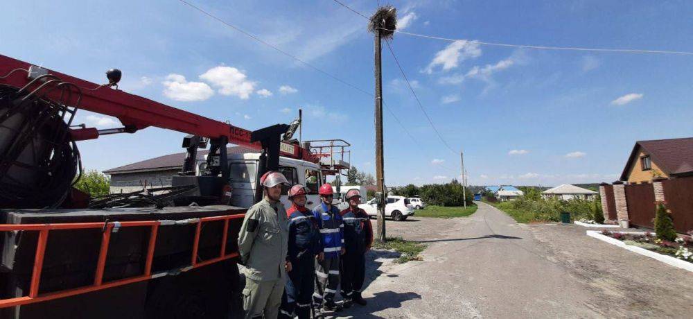 Энергетики «Белгородэнерго» вернули дом аистам