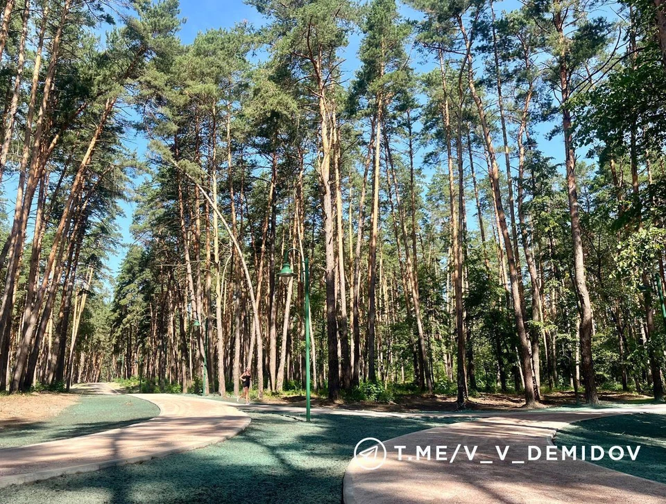 Мэр Белгорода рассказал про зеленую краску, которой покрыта трава возле беговых дорожек в Сосновке0