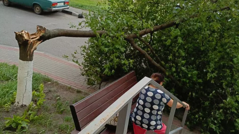 Непогода вновь обрушилась на Белгородскую область: фото и видео очевидцев13